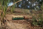 IMG_1793small.jpg