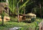 IMG_1807small.jpg