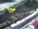 IMG_20210603_183912.jpg