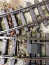 Massoth rail connectors.JPG