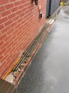 IMG_20210821_193031.jpg
