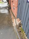 IMG_20210821_193041.jpg
