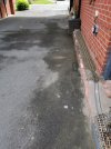 IMG_20210822_115027.jpg