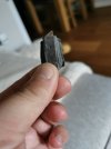 IMG_20210824_072355.jpg