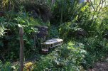 IMG_2685small.jpg