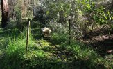 IMG_2687small.jpg