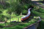 IMG_2709small.jpg