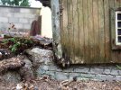 DSCF0333.JPG
