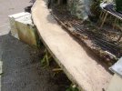 DSCF0339.JPG
