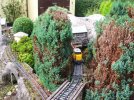Pruning & weeding (10).JPG