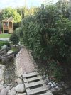 IMG_1229.JPEG
