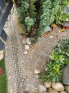 IMG_20210921_104351.jpg