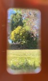 IMG_0654.jpeg