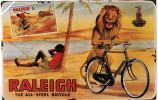Raleigh Sign.png