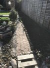 IMG_1263.JPEG