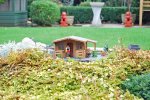 Shed-06.jpg
