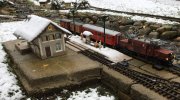 First Snow  - 1 (3).jpeg