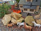 IMG_20220126_125903.jpg