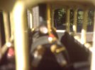 Garden Railway (64).jpg