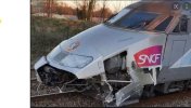 Sanglier et TGV .jpg
