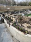 IMG_0910.JPG