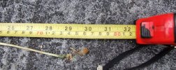 DSCF0990.JPG