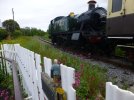 BE7968D9-5BBC-4D23-A6BA-6EFBB72EF0B4.jpeg