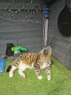 IMG_20220528_152546.jpg