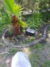 20220614_120818.jpg