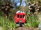 IMG_0242small.jpg