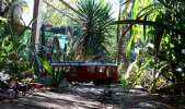 IMG_0246small.jpg