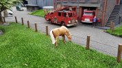 20180605_105210.jpg