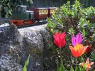 2016FirstTrain-05.jpg