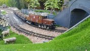 20180610_093531.jpg