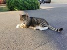 IMG_20220621_192354.jpg