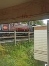IMG_20220829_125041.jpg