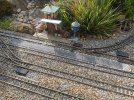 IMG_20220902_162759.jpg