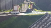 20180628_064958.jpg