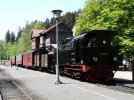 6001 at Alexisbad.jpeg