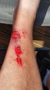 20180708_152600.jpg
