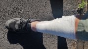 20180708_182024.jpg