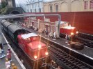 IMG_20221020_081533.jpg