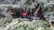 20170919_122401.jpg 20170919_122401.jpg