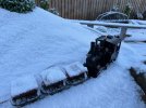 IMG_2829.jpg