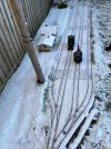 IMG_2825.jpg