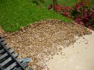 Creek Bank and Bed close up.JPG Creek Bank and Bed close up.JPG