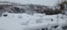 20230310_081834.jpg