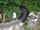 Return Loop Rebuild (34).JPG