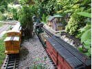 DSCF9873.JPG