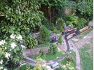 DSCF9874.JPG